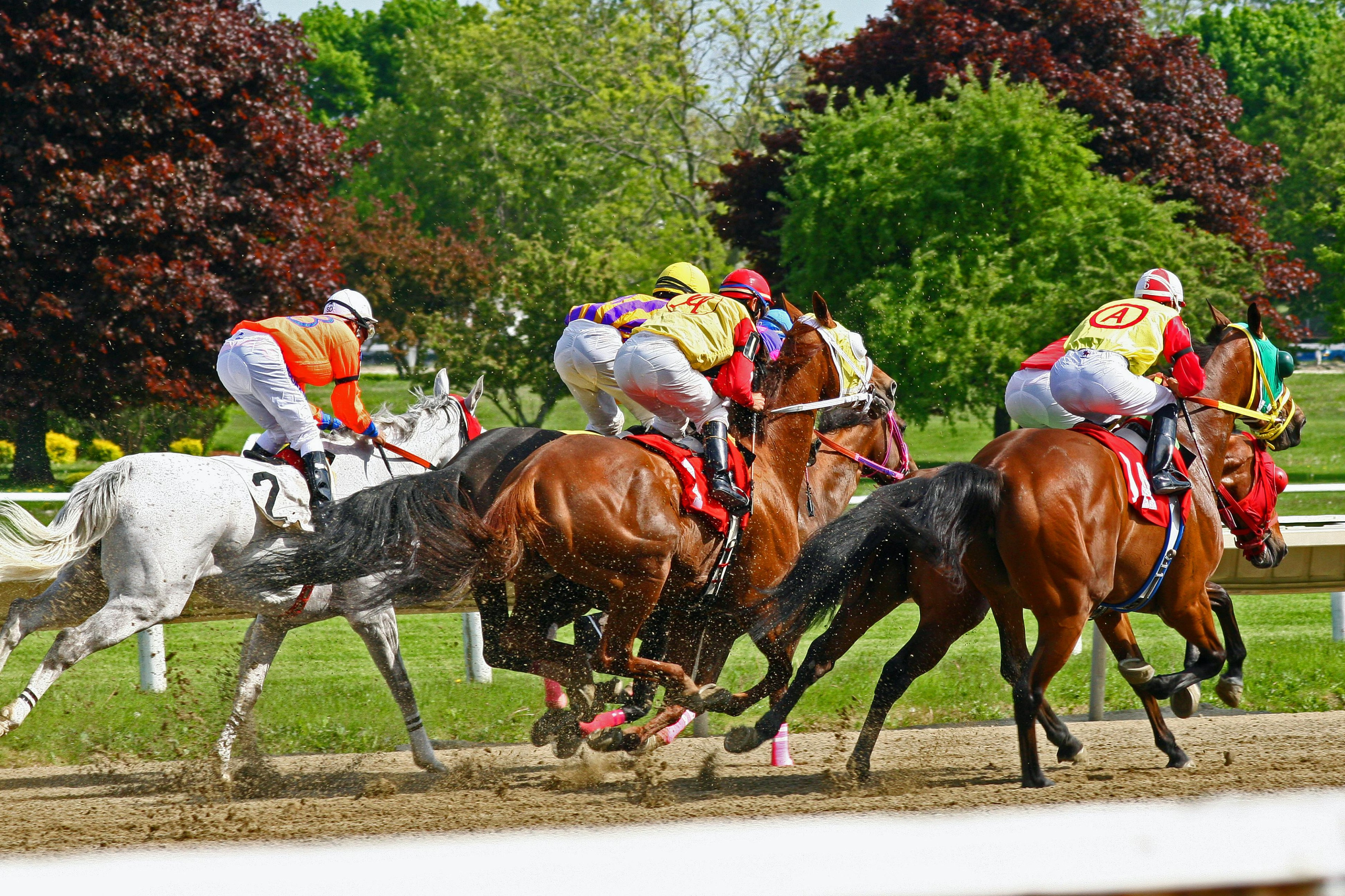 Horse Riders