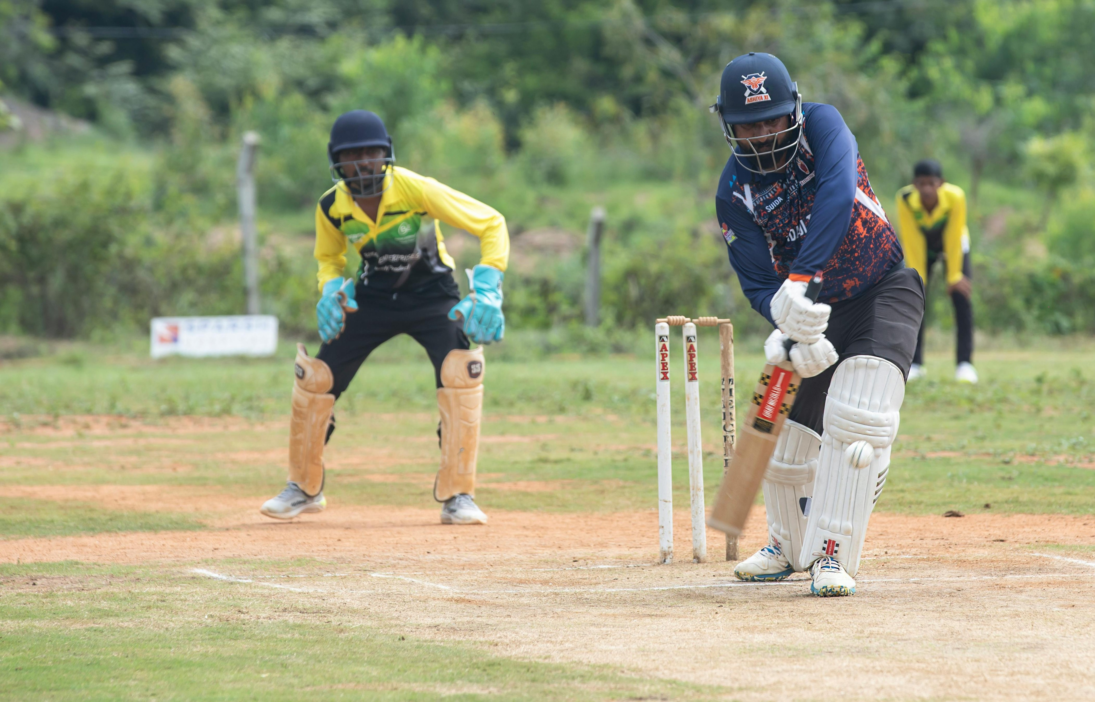 Cricket
